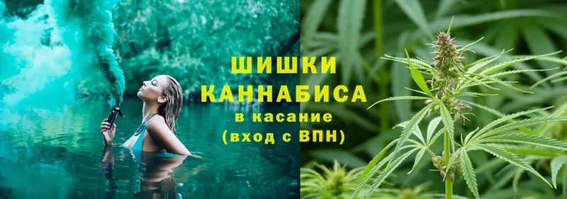 Каннабис White Widow  магазин продажи   Гусев 